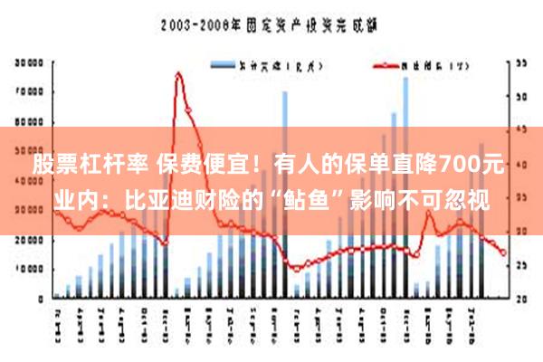 股票杠杆率 保费便宜！有人的保单直降700元 业内：比亚迪财险的“鲇鱼”影响不可忽视