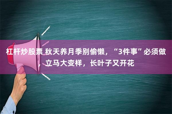 杠杆炒股票 秋天养月季别偷懒，“3件事”必须做，立马大变样，长叶子又开花