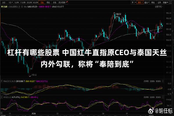 杠杆有哪些股票 中国红牛直指原CEO与泰国天丝内外勾联，称将“奉陪到底”