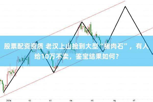 股票配资资质 老汉上山捡到大型“猪肉石”，有人给10万不卖，鉴宝结果如何？