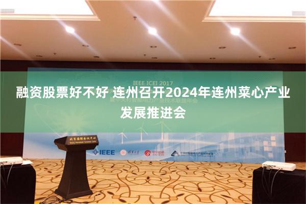 融资股票好不好 连州召开2024年连州菜心产业发展推进会