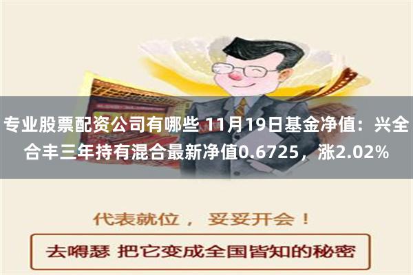 专业股票配资公司有哪些 11月19日基金净值：兴全合丰三年持有混合最新净值0.6725，涨2.02%