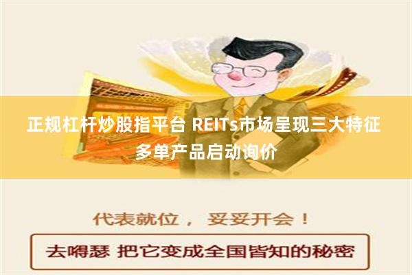 正规杠杆炒股指平台 REITs市场呈现三大特征 多单产品启动询价