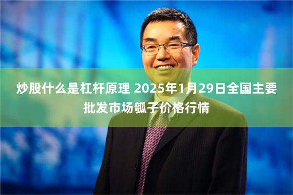 炒股什么是杠杆原理 2025年1月29日全国主要批发市场瓠子价格行情